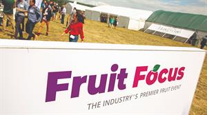 Fruit Focus picture